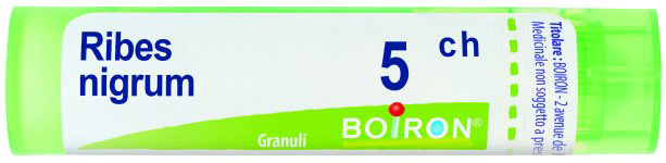 RIBES NIGRUM 5CH GRANULI - FARMACIA33