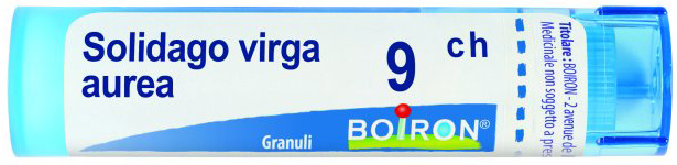 SOLIDAGO VIRGA AUREA 9CH GRANULI - FARMACIA33