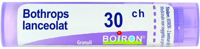 BOTHROPS LANCEOLATUS 30CH GRANULI 4G - FARMACIA33
