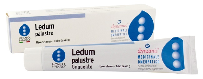 LEDUM PALUSTRE HOMEOPHARM UNGUENTO 40 G - FARMACIA33