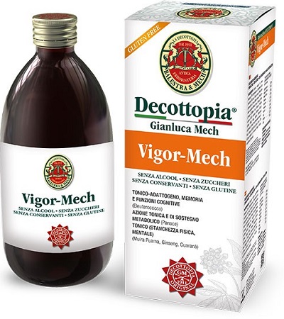 VIGOR MECH 500 ML - FARMACIA33