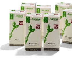 AVENA 100ML MG - FARMACIA33
