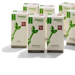 RIBES NERO MACERATO GLICERICO 100 ML - FARMACIA33