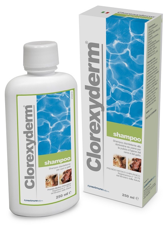 CLOREXYDERM SHAMPOO 250 ML - FARMACIA33