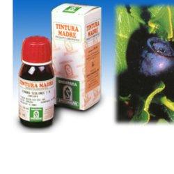 MIRTILLO 31 50ML TM - FARMACIA33