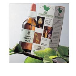 ROSA CANINA 100ML MG - FARMACIA33