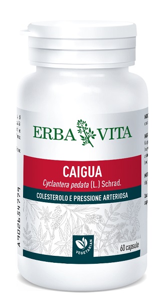 CAIGUA 60 CAPSULE 400 MG - FARMACIA33