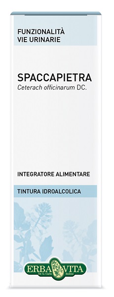 SPACCAPIETRA TINTURA IDROALCOLICA 50 ML EBV - FARMACIA33