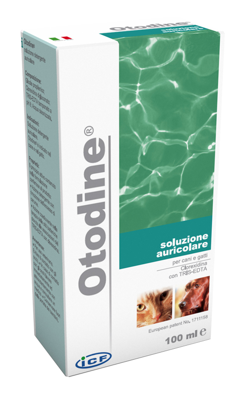 OTODINE DETERGENTE LIQUIDO 100 ML - FARMACIA33
