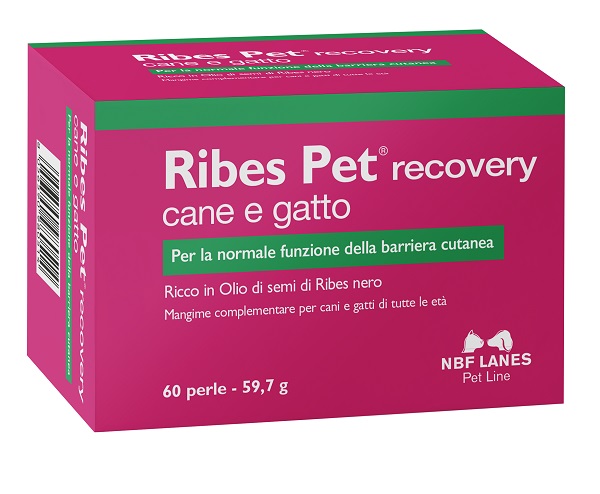 RIBES PET RECOVERY BLISTER 60 PERLE - FARMACIA33