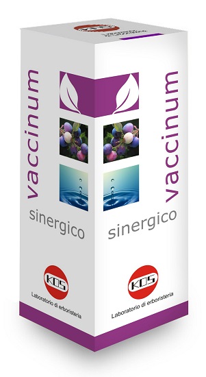 VACCINIUM SINERGICO GOCCE 100 ML - FARMACIA33