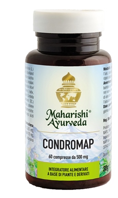 CONDROMAP 60 COMPRESSE - FARMACIA33