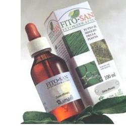 EQUISETO FRONDE STE 100ML TM - FARMACIA33
