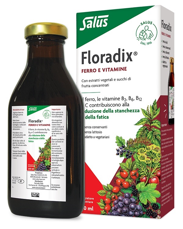 FLORADIX FERRO E VITAMINE 250 ML - FARMACIA33