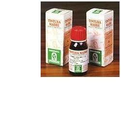 ERISIMO 61 50ML TM - FARMACIA33