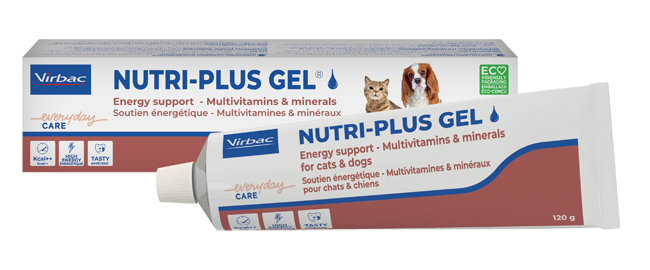 NUTRIPLUS GEL PASTA ORALE 120 G - FARMACIA33