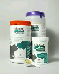 GLAZARDERM FLACONE 500 G - FARMACIA33