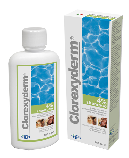 CLOREXYDERM SHAMPOO 4% 250 ML - FARMACIA33