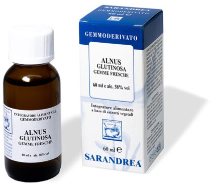 ALNUS GLUTINOSA 100 ML MACERATO GLICERICO - FARMACIA33