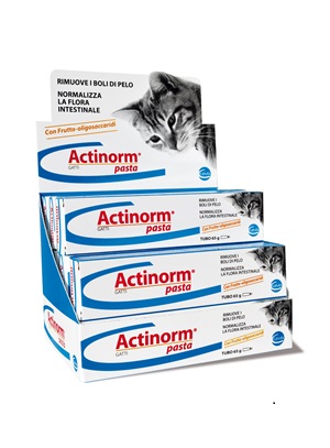ACTINORM PASTA GATTI 65 G - FARMACIA33