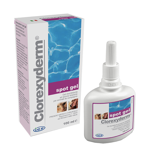 CLOREXYDERM SPOT GEL 100 ML - FARMACIA33