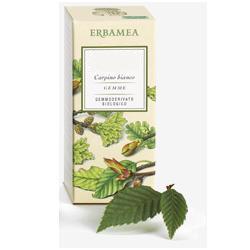 BETULA VERRUCOSA LINFA GEMMODERIVATO BIO 50 ML - FARMACIA33