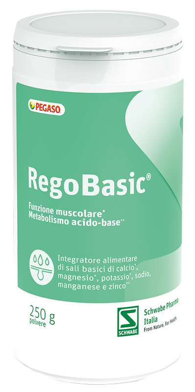 REGOBASIC POLVERE 250 G - FARMACIA33