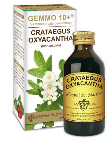 GEMMO 10+ BIANCOSPINO LIQUIDO ANALCOLICO 100 ML - FARMACIA33