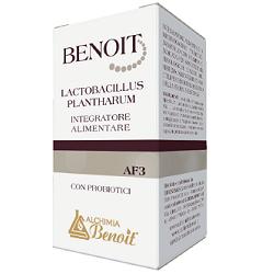 BENOIT LACTOBACILLUS PLANTHARUM 30 CAPSULE - FARMACIA33