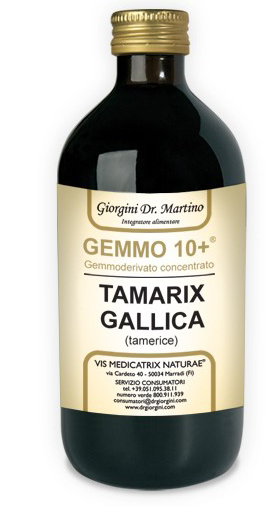 GEMMO 10+ GEMMODERIVATO CONCENTRATO LIQUIDO ANALCOLICO TAMARIX GALLICA TAMERICE 500 ML - FARMACIA33