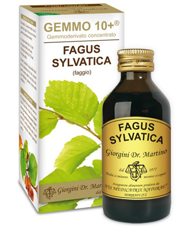 GEMMO 10+ FAGGIO 100 ML LIQUIDO ANALCOLICO - FARMACIA33