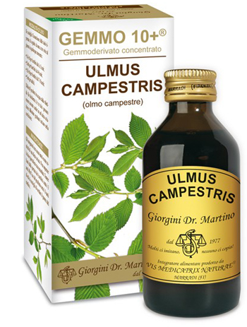 GEMMO 10+ OLMO CAMPESTRE 100 ML LIQUIDO ANALCOLICO - FARMACIA33