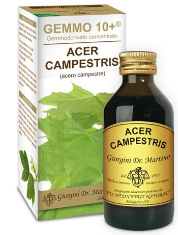 GEMMO 10+ ACERO CAMPESTRE 100 ML LIQUIDO ANALCOLICO - FARMACIA33