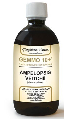 GEMMO 10+ GEMMODERIVATO CONCENTRATO LIQUIDO ANALCOLICO AMPELOPSIS VEITCHI VITE CANADESE 500 ML - FARMACIA33