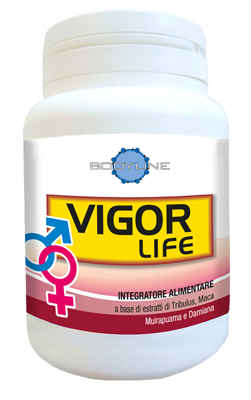 VIGOR LIFE 40 CAPSULE - FARMACIA33
