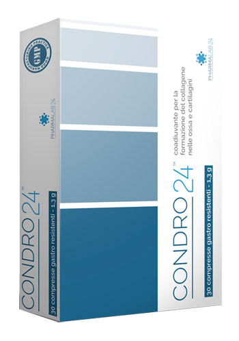 CONDRO24 30 COMPRESSE - FARMACIA33