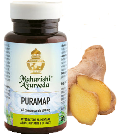 PURAMAP 60 COMPRESSE - FARMACIA33
