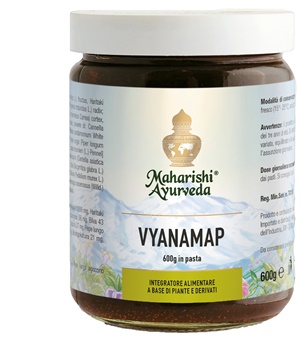 VYANAMAP PASTA 600 G - FARMACIA33