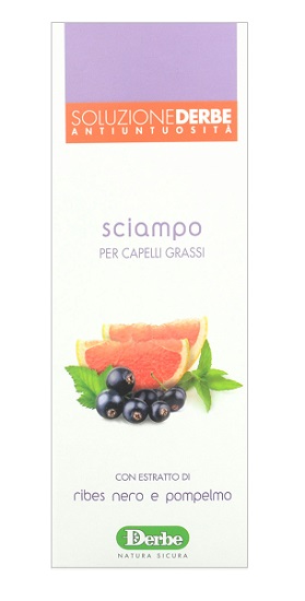 DERBE SHAMPOO ANTI UNTUOSITA - FARMACIA33