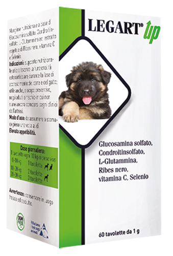 LEGART UP 60 COMPRESSE DA 1 G - FARMACIA33