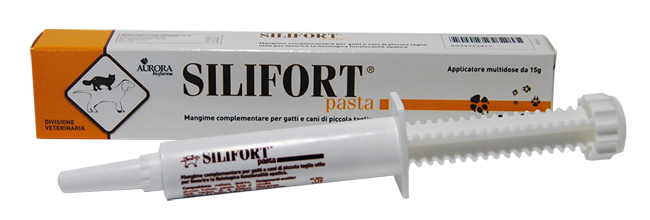 SILIFORT PASTA OS SIRINGA 15 G - FARMACIA33
