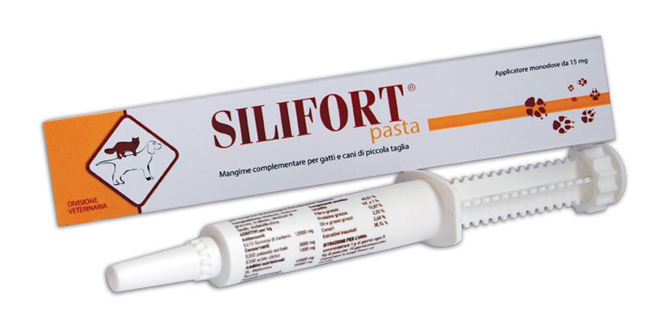 SILIFORT PASTA OS SIRINGA 30 G - FARMACIA33