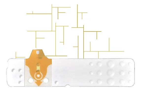STRISCE MISURAZIONE GLICEMIA LINEA D ORO 25 PEZZI - FARMACIA33