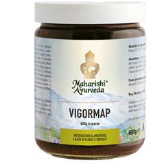 VIGORMAP PASTA 600 G - FARMACIA33