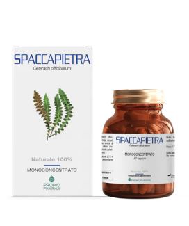 SPACCAPIETRA 50 CAPSULE - FARMACIA33