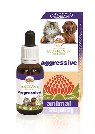 AGGRESSIVE 30 ML - FARMACIA33