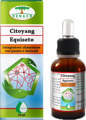 CITOYANG EQUISETO GOCCE 50 ML - FARMACIA33