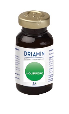 DRIAMIN MOLIBDENO 10 FLACONCINI 15 ML - FARMACIA33
