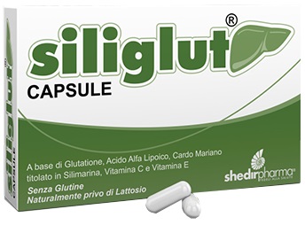 SILIGLUT 20 CAPSULE - FARMACIA33