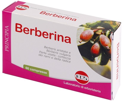 BERBERINA ESTRATTO SECCO 60 COMPRESSE - FARMACIA33